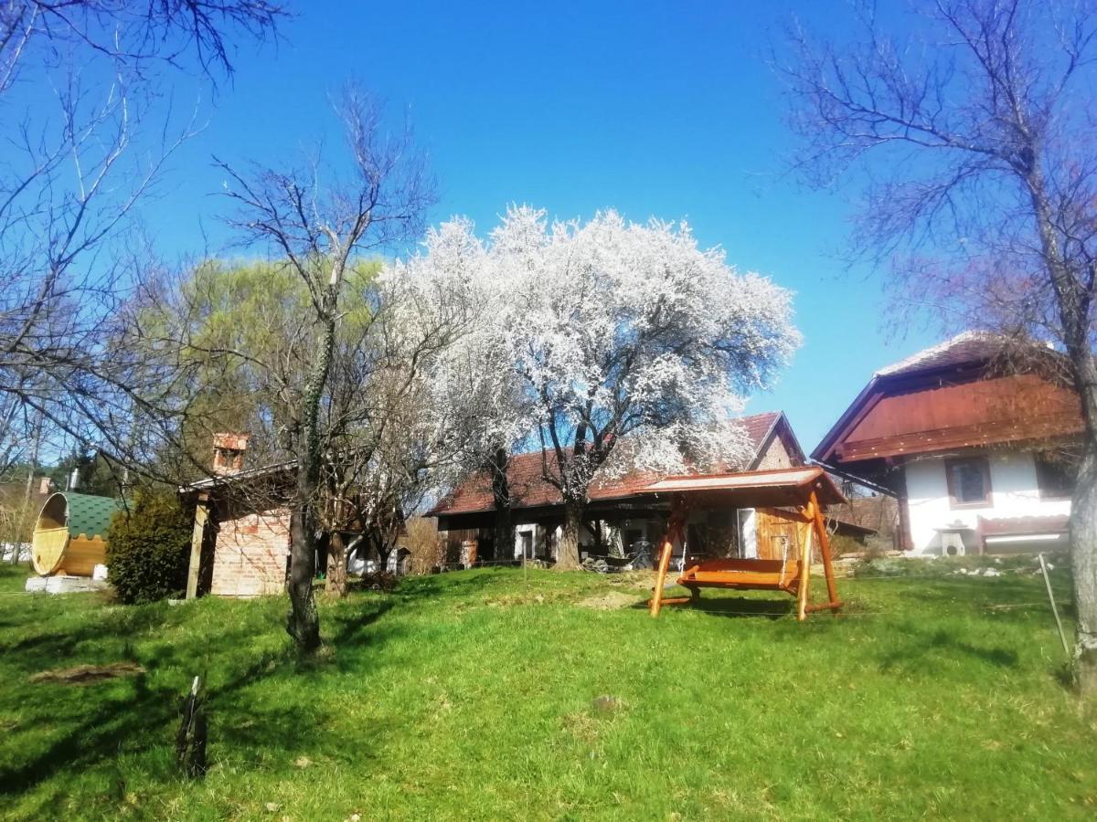 Fecskefészek Vendégház Őriszentpéter Exterior foto