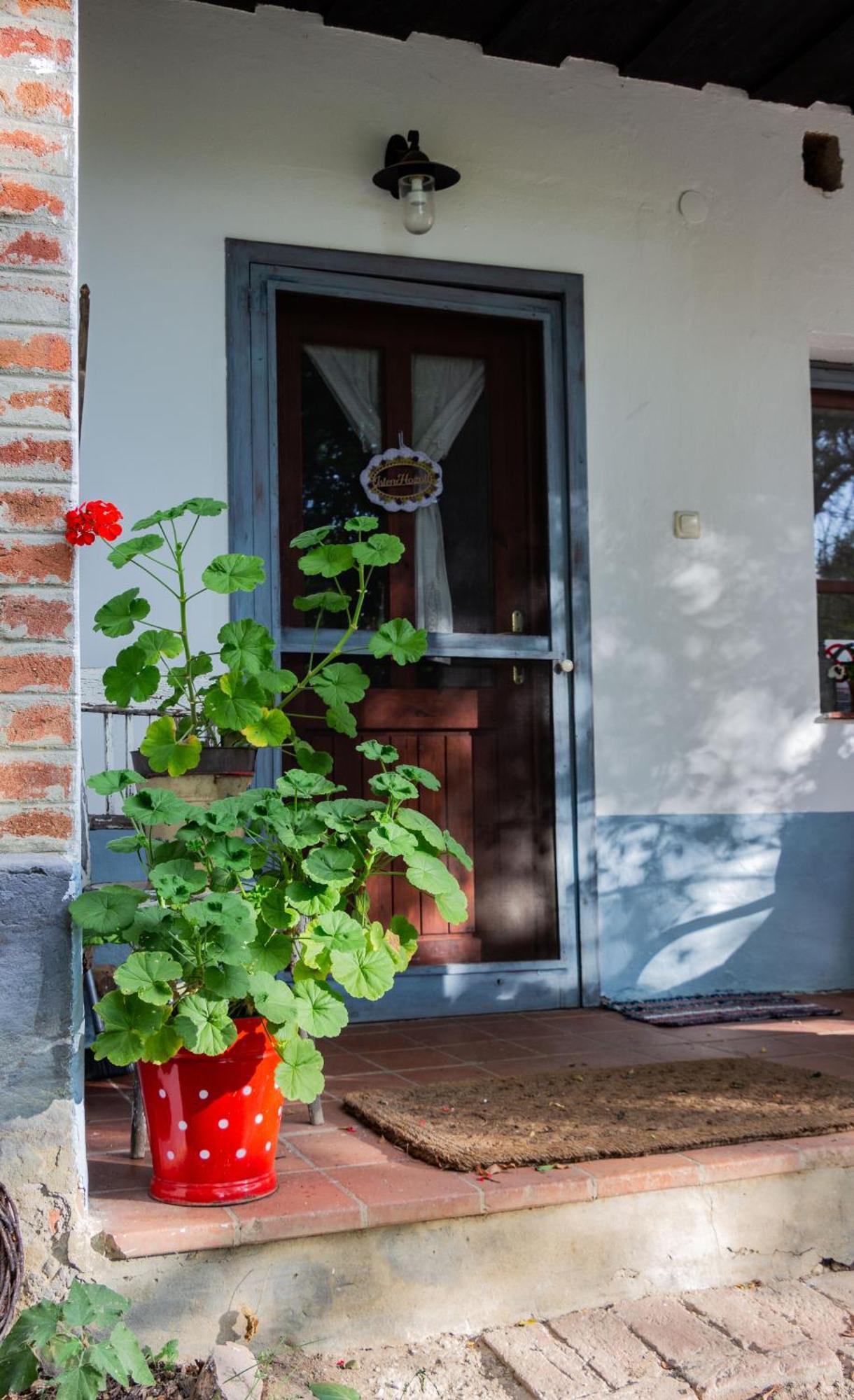 Fecskefészek Vendégház Őriszentpéter Exterior foto