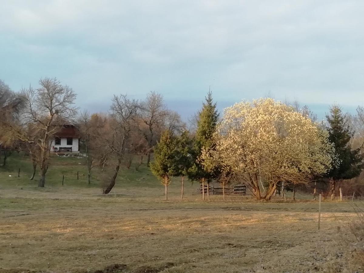Fecskefészek Vendégház Őriszentpéter Exterior foto