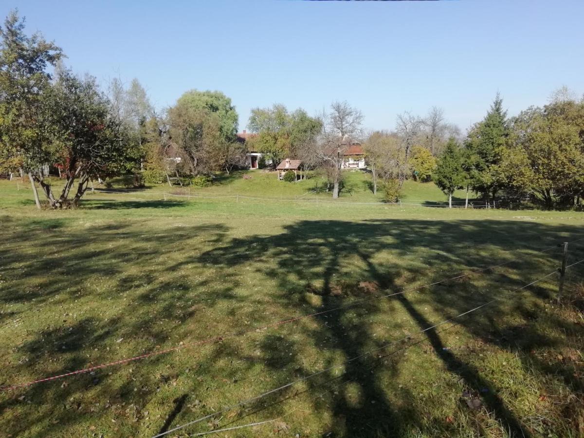 Fecskefészek Vendégház Őriszentpéter Exterior foto