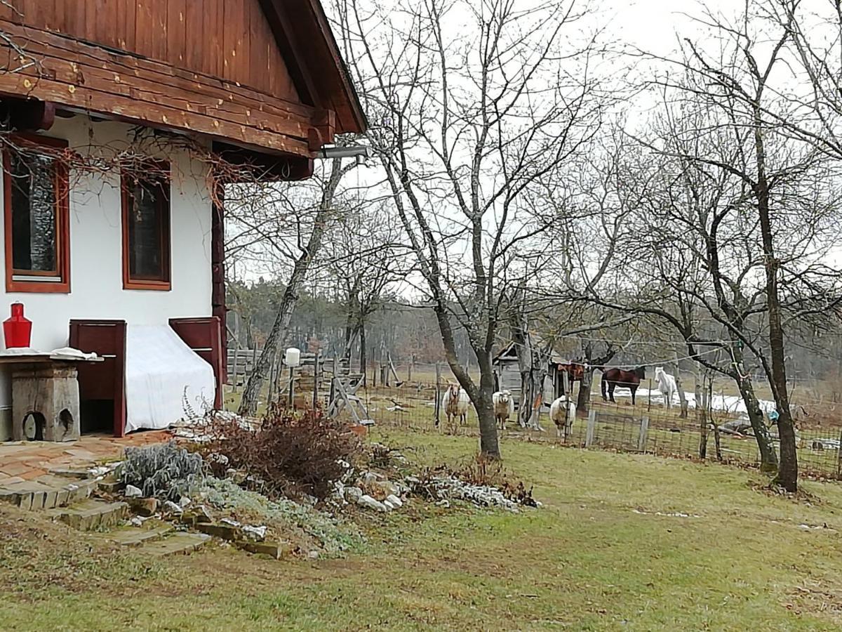 Fecskefészek Vendégház Őriszentpéter Exterior foto